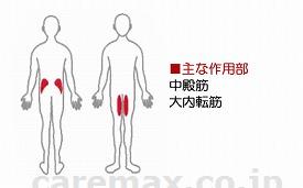 トレチェアアブダクションアダクション/WXS-Aスタンダードモデル(cm-260163)【販売単位:1】