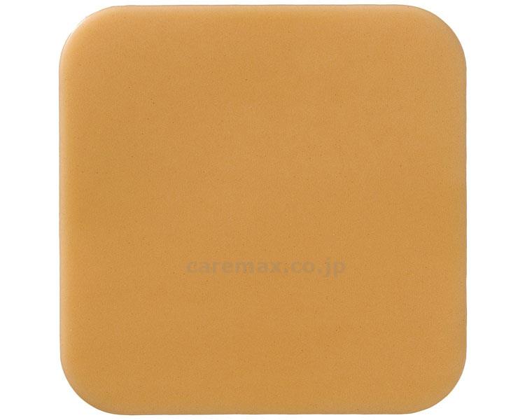 【※取り寄せ・送料別途】プロケアーウエハー10号10枚/12581(cm-271443)【販売単位:1】