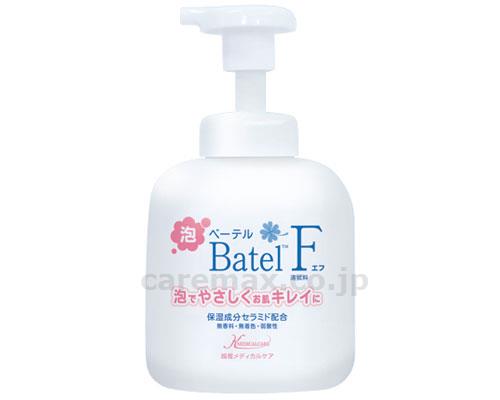 【※取り寄せ・送料別途】ベーテルF清拭・洗浄料/BF02500mL(cm-314539)【販売単位:20】