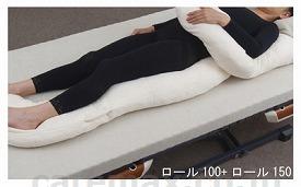 (P0254)ナーセントEX100(cm-316634)【販売単位:1】
