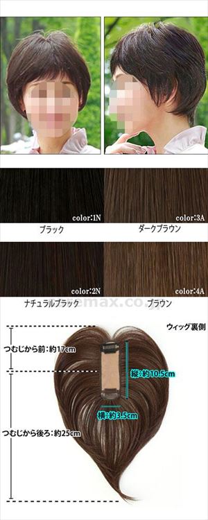 白髪かくしウィッグ 分け目タイプ / ST-005-2N ナチュラルブラック(cm-493253)【販売単位:1】