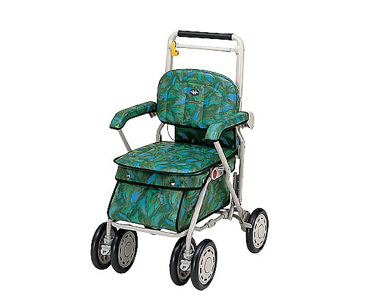 0-3969-01 ウォーキングカー（サンホリディ） ピーコックグリーン 248-033