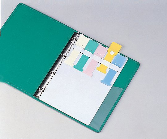 0-5320-01 カラーシグナル A4、2・4・30穴 10枚入 SK-455