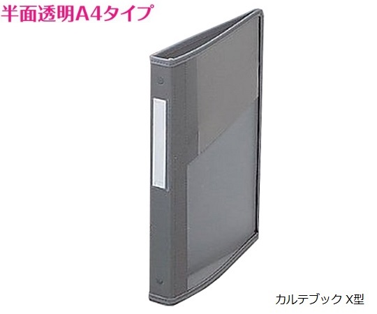 0-5632-03 カルテブック 平テコ型・2穴 グレー 背幅20mm NSC-420-2