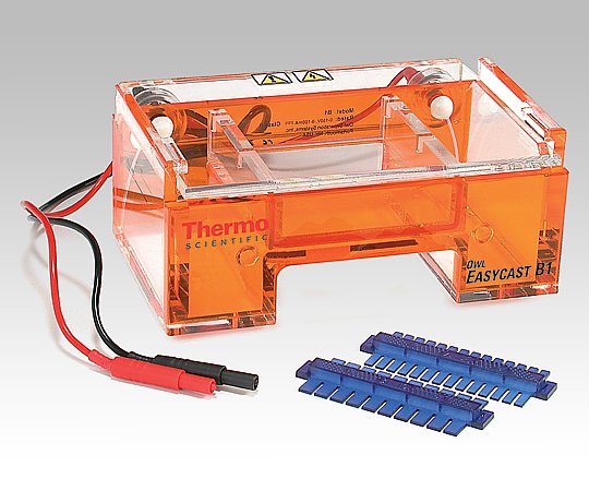 1-2630-01 水平電気泳動槽 OW-B1thermo scientific