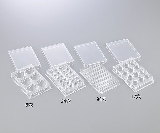 【滅菌】1-8355-01 微生物培養用プレート 6穴 6穴（平底）ステム