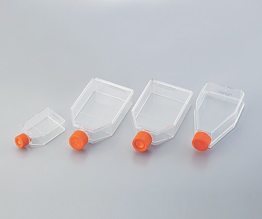 【滅菌】2-2063-08 細胞培養用フラスコ（ベントキャップ／カントネック） 600mL 430825コーニング