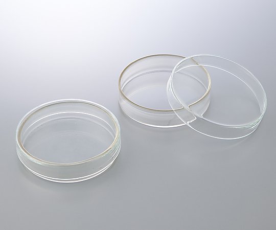 2-3977-01 シャーレ（BOROSIL(R)） φ50×17mm 3160065アズワン