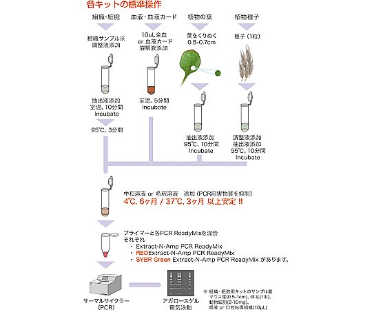 【冷凍】2-5954-31 ゲノムＤＮＡ抽出ＰＣＲキット （補充溶液） 1000 T3073-30MLSIGMA