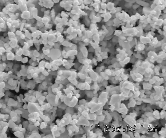 3-3053-01 金（Au）粉末 樹枝状 0.3～0.6μm TA-2