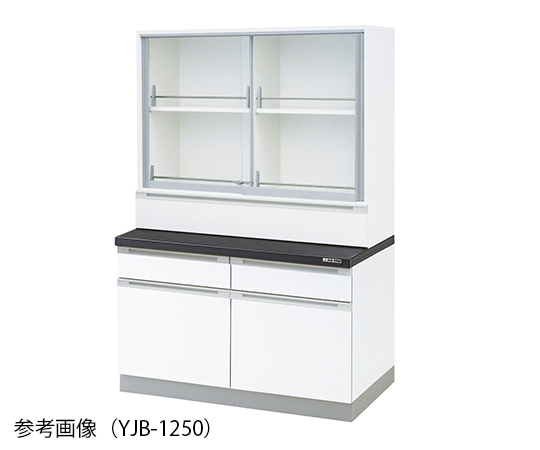 【大型商品※送料別途】【大型商品※送料別途】アズワン3-3891-11　薬品器具戸棚 1200×400/750×1800mm　Y