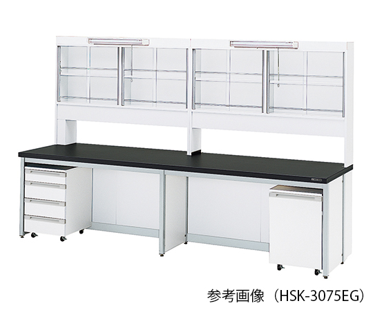 【大型商品※送料別途】【大型商品※送料別途】アズワン3-4413-12 サイド実験台 (フレ-ムタイプ)LED照明付 2400× 【大型商品※送料別途】【大型商品※送料別途】アズワン3-4413-12 サイド実験台 (フレ-ムタイプ)LED照明付 2400×
