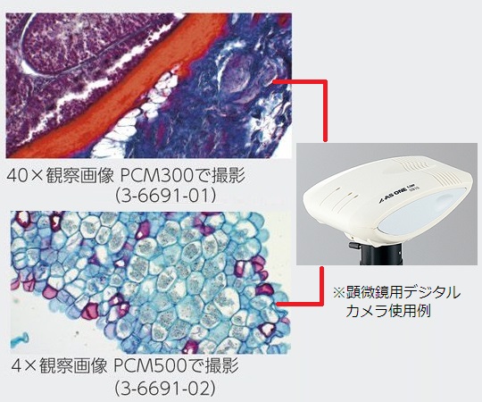 3-6692-02 ECプランレンズ生物顕微鏡 三眼 40～1000× MP38Tアズワン