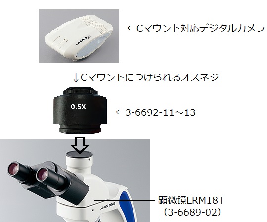3-6692-11 ECプランレンズ生物顕微鏡用 Cマウントアダプタ 1/2 CCM05Xアズワン