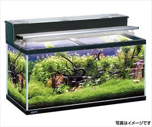 【大型商品※送料別途】4-2038-31 魚類用水槽 マリーナ ガラス 90cm 黒 MR-13iジェックス