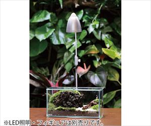 【冷蔵】4-3485-03 コケリウム グラステリア フィット 20×10×10cm 200LOWジャパンペットコミュニケーショ