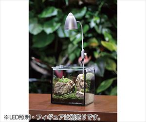 【冷蔵】4-3485-06 コケリウム 15×15×15cm 150Bジャパンペットコミュニケーションズ