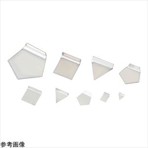4-3655-12 分銅 F1 100mg F1100MG