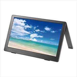 4-3801-05 カラー液晶ディスプレイ 13.3型/ブラック LCD-CF131XDB-M