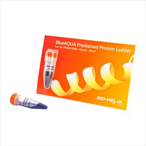 【冷凍】4-4328-04 着色済みタンパク質ラダーマーカー 10～180kDa 1袋（500μL入） PM019-0500Bi