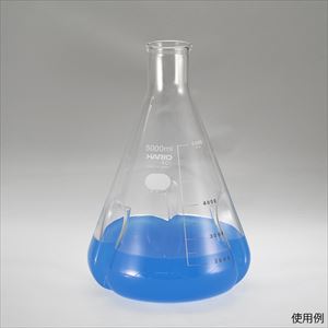 【食品衛生法適合】4-4574-09 バッフル付き三角フラスコ 5000mL BSF-5L-SCIHARIO