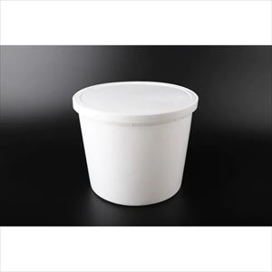 4-5316-29 試料保存容器 5100mL Φ217.9×177.5mm 10個入 14-955-121BFisher　Sc