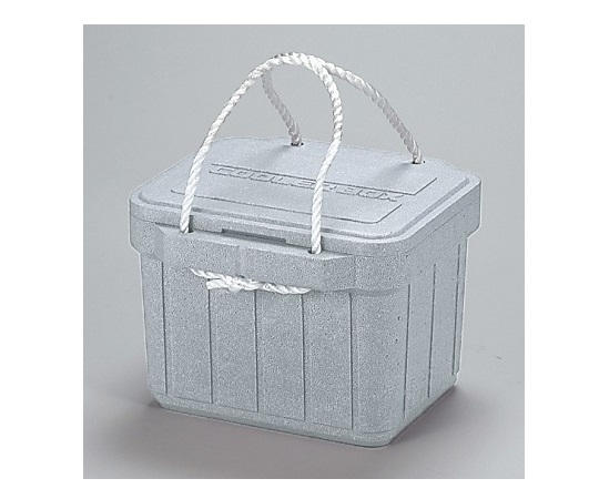 4-5654-04 発泡クーラー 7.5L インナー無 No.10（インナー無）アステージ