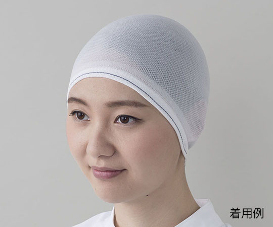 4-852-01 毛髪落下防止ヘアネット（男女兼用） 袋型 10枚入 東洋リントフリー