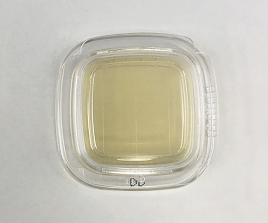 【滅菌】【冷蔵】【法人・施設限定】6-8778-01 細菌検出用培地 DDチェッカー （DD寒天） 04200極東製薬工業