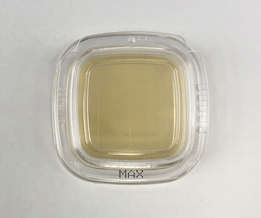 【滅菌】【冷蔵】【法人・施設限定】6-8778-38 細菌検出用培地 DDチェッカー （MAX寒天） 04230極東製薬工業
