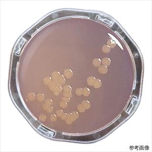 【滅菌】【冷蔵】6-9530-31 ぺたんチェックRII25 トリプトソイ寒天培地 PK0009栄研化学 【滅菌】【冷蔵】6-9530-31 ぺたんチェックRII25 トリプトソイ寒天培地 PK0009栄研化学