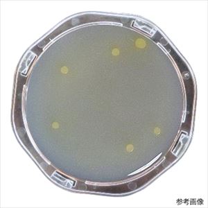 【滅菌】【冷蔵】6-9530-34 ぺたんチェックRII25 NAC寒天培地 PK0011栄研化学 【滅菌】【冷蔵】6-9530-34 ぺたんチェックRII25 NAC寒天培地 PK0011栄研化学