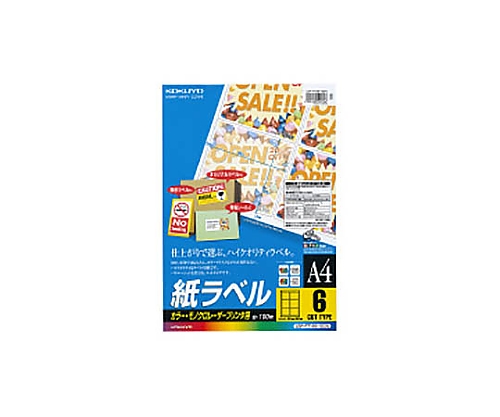 61-0527-04 ＬＢＰ用紙ラベル（カラー＆モノクロ対応） Ａ４ １００枚入 ６面カット LBP-F7166-100Nコクヨ