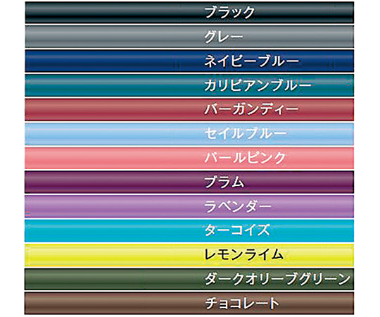 61-4727-67 リットマン(TM)ステソスコープ クラシックⅢ(TM) ブラック/スモーク 5811スリーエム