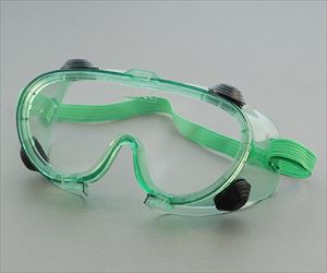 62-1611-25 実験室用ゴーグル 耐薬品用 19-181-504Fisher　Scientific