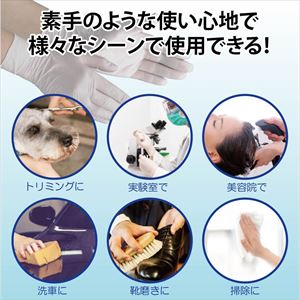 【医療機器クラス1】62-3618-86 タケトラ ニトリル手袋 ホワイト S 200枚入 075812竹虎
