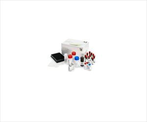 【冷蔵】【毒物】62-8545-46 Human High Sensitivity T Cell Magnetic Bead P
