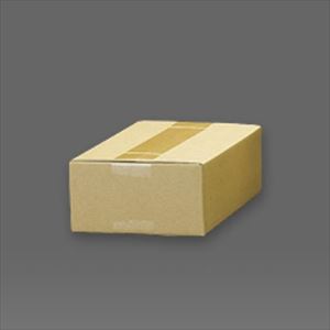 63-3301-73 ダンボール（無地/20枚） 240×160×130mm/A5 EA995BS-12エスコ