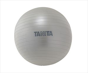 63-7291-98 ジムボール TS-962-SVタニタ