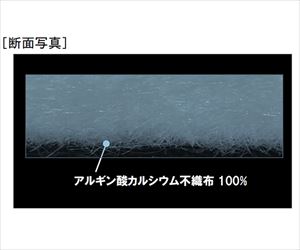 【滅菌】【医療機器クラス1】65-4352-22 プラスモイストHS-W 80×120mm 10枚入 HSWAJA瑞光メディカル