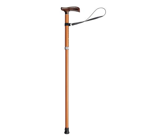 7-5494-06 かるケイン M 柿茶 田辺プレス