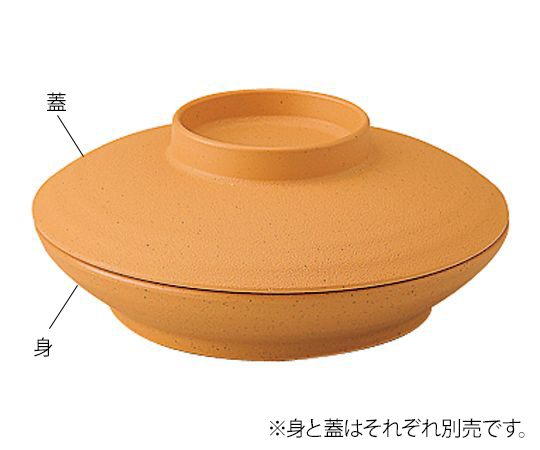 7-5933-09 業務用樹脂食器 凛 深皿 身 こはく 5009-KK信濃化学工業