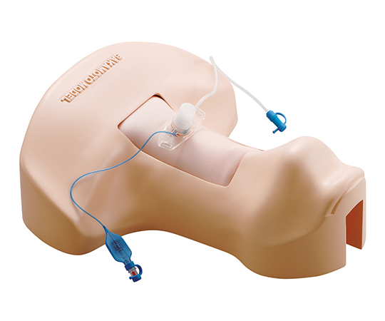 坂本モデル7-6569-01　サカモト気管切開トレーナー M172坂本モデル