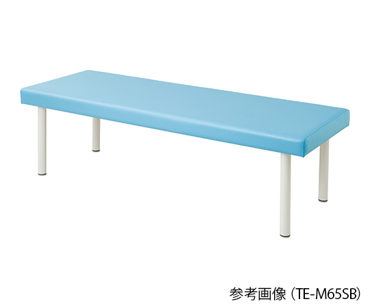 【組立必要】7-7495-01 カラフル診察台（ベッド高さ500mm） スカイブルー TE-L60SBナビス(アズワン)