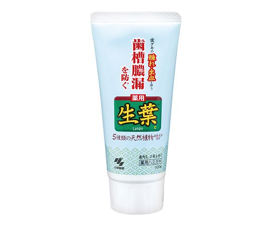 小林製薬7-9081-01　生葉c　100g 小林製薬