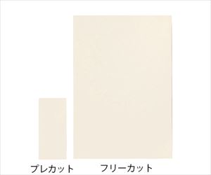 7-9537-01 フェルト絆R プレカットシート 20枚入 20781アルケア