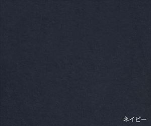 7-9619-06 失禁用パンツ（男性用少量タイプ） ネイビー L MBB100NAVLGWearever