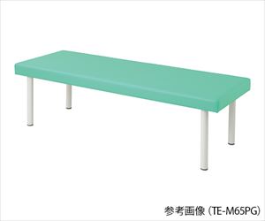 【組立必要】7-9956-04 カラフル診察台 700×1900×550mm ライトグリーン TE-M7019PGナビス（アズワ