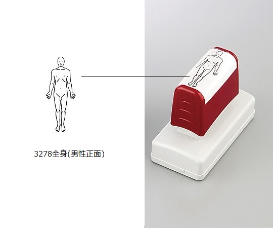 8-5108-08 医療用スタンプ 全身男性正面 3278 全身(男性正面)