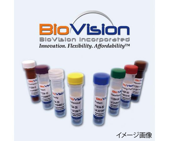 【冷蔵】【冷蔵】BioVision89-0110-97　抗体精製用磁気ビーズ Protein A 磁気ビーズ　6507-1Bio